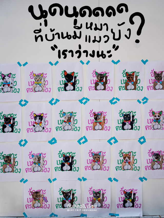 งานนืทรรศการสำหรับคนรักแมว
