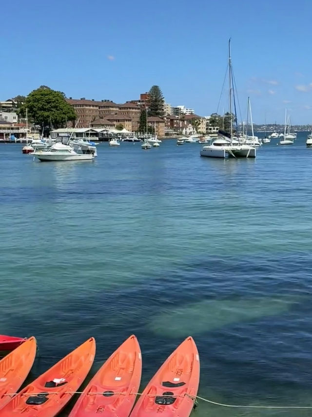 Sun, Surf, and Scenic Views – My Visit to Manly Beach, Sydney