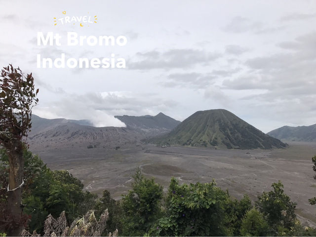 🤩☀️ ชมพระอาทิตย์ขึ้น ขี่ม้า ปีนภูเขาไฟ โบรโม่ 🌋🌋