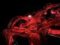 Enoshima After Dark: A Magical Island Illumination
