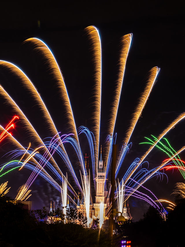 【上海ディズニー】ショー ILLUMINATE!A Nighttime Celebration編🏰 