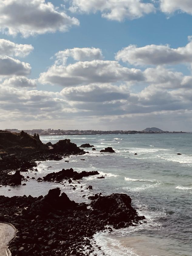 Jeju's Coastal Beauty 🖤💙