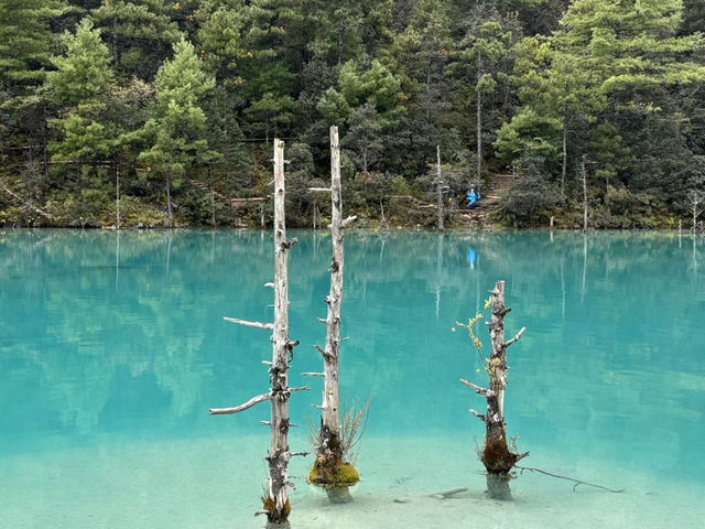 藍月谷奇遇記！✨ 準備好被這片夢幻藍色淹沒了嗎🌊 探索神秘的藍月谷！🔮 這裡的風景美到窒息！🤩