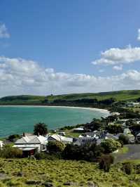A Charming Escape to Stanley, Australia 