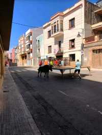 Alcalà de Xivert 位於歷史悠久的 El Maestrazgo 土地內，位於卡斯特利翁省北部。