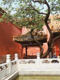 Forbidden City Unveiled: A Traveler’s Guide to China’s Imperial Wonder