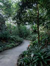 【新宿】新宿御苑・熱帯館：トロピカルな世界を体験🌿🌺