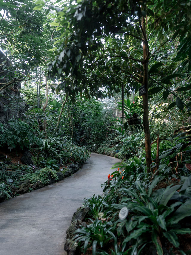 【新宿】新宿御苑・熱帯館：トロピカルな世界を体験🌿🌺