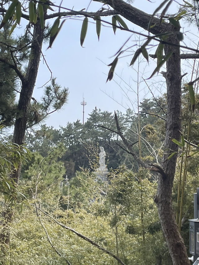 부산 기장에서 만난 바다가 보이는 절, 해동 용궁사