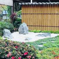 🌸 **大埔海濱公園櫻花觀賞分享** 🌸