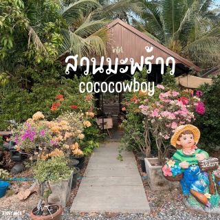 คาเฟ่สวนมะพร้าว ฉะเชิงเทรา