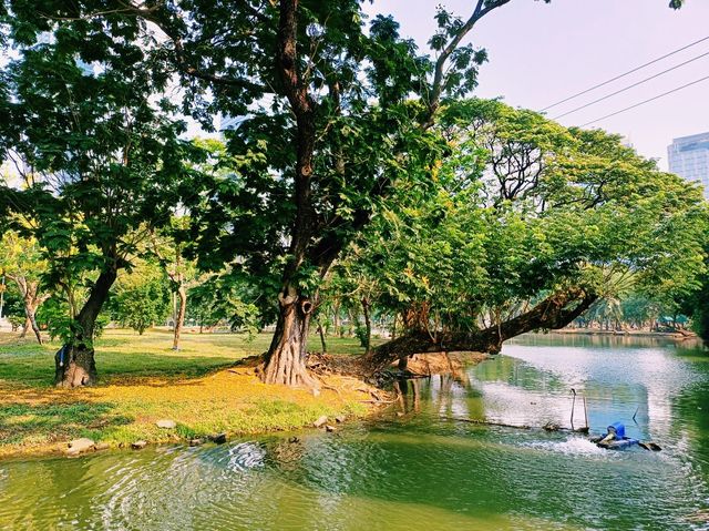 泰國曼谷市中心素坤逸區城市綠洲公園一日遊行程，親子遊行程，素坤逸繁華大道，適合打卡拍照📸親子遊