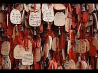 Discover Yunnan’s rich Culture and History 