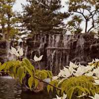 Spring's Photographic Art Garden 