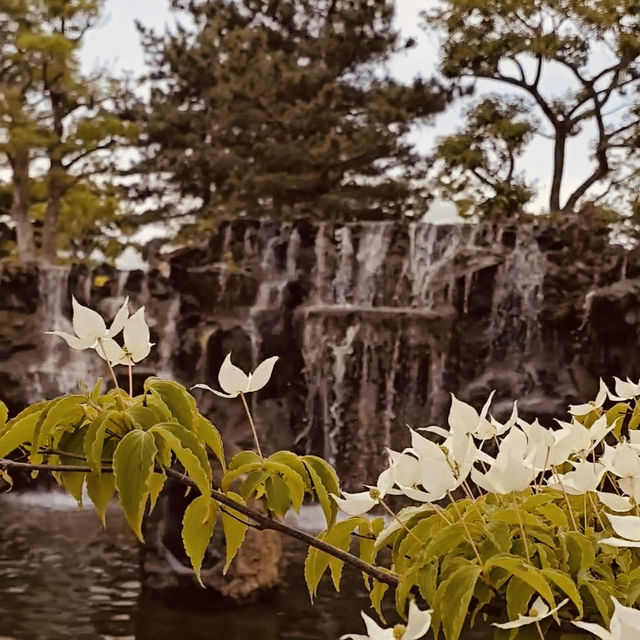 Spring's Photographic Art Garden 