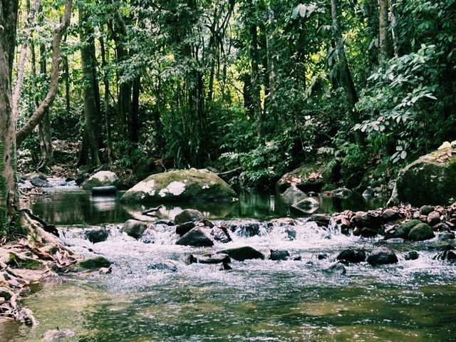  📍PHURI  CAMP BEACH LIFE | ภูริแคมป์🍃