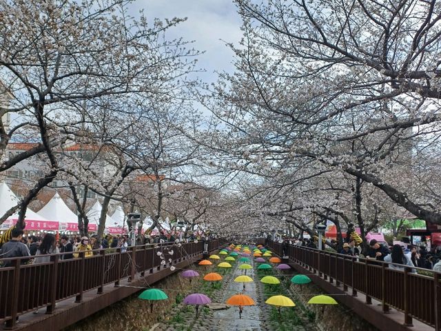 Korea's largest Spring Festival