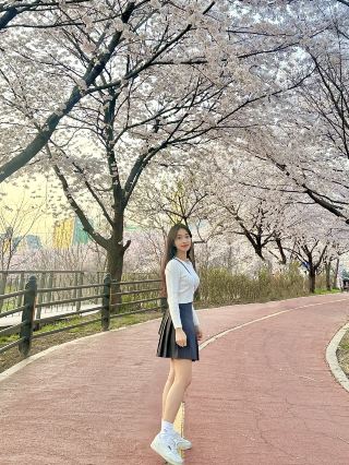 아름다운 벚꽃 명소