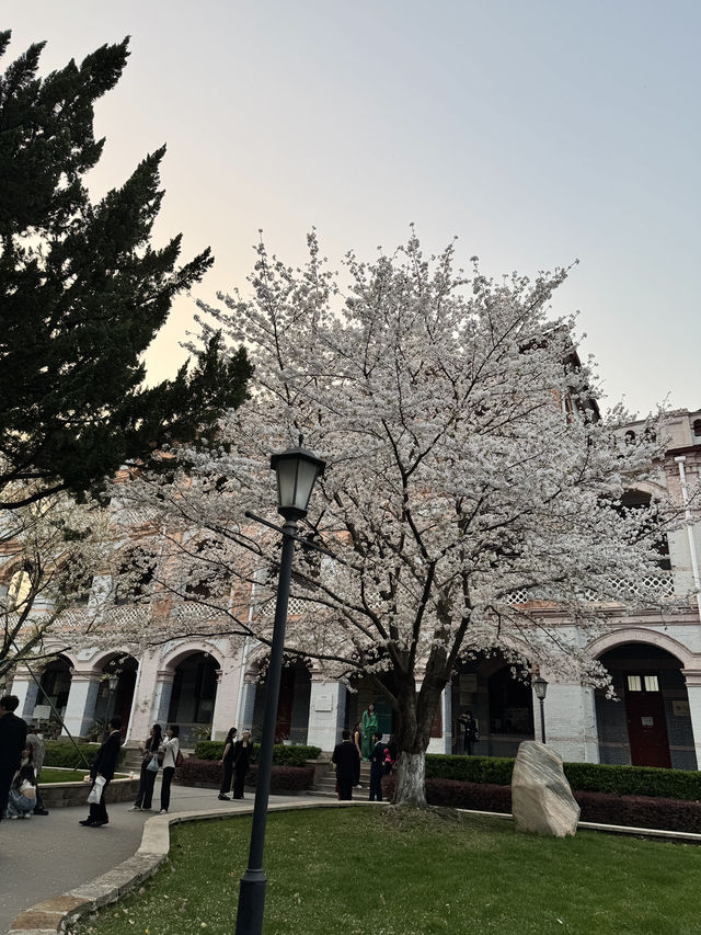 Spring in Shanghai is the BEST!
