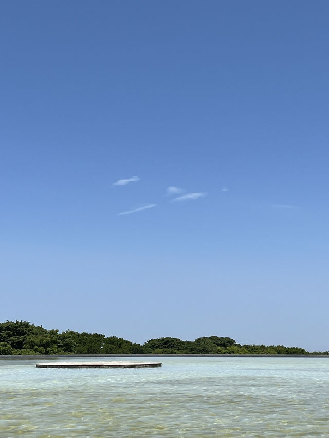 제주 동쪽 야외데이트는 이렇게 가보세요!