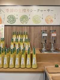 【沖縄】大宜味村 入場無料で楽しめるシークヮーサーパーク