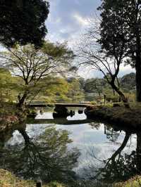 🌸東京/六義園で感じる四季の絶景🌳