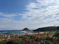 【神秘の洞窟＆絶景の海岸線🌊✨「南伊豆」で大自然を満喫しよう！】