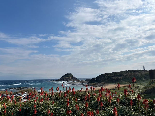 【神秘の洞窟＆絶景の海岸線🌊✨「南伊豆」で大自然を満喫しよう！】