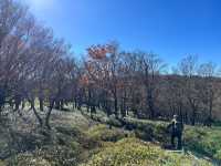 【まるで雲の上の楽園🌄✨「大台ヶ原」で絶景ハイキング！】