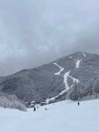 【志賀高原スキー場｜ホテルベルグで過ごす至福のひととき🏨⛷️】
