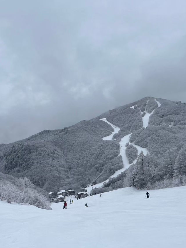 【志賀高原スキー場｜ホテルベルグで過ごす至福のひととき🏨⛷️】