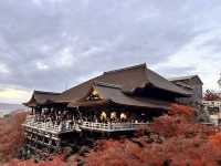 Discovering the Magic of Kiyomizu-dera ✨ | Kyoto’s Must-Visit Spot for Every Young Explorer