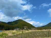 🌿京都・大原って、まるで自然の宝箱みたいな場所だった！🌸