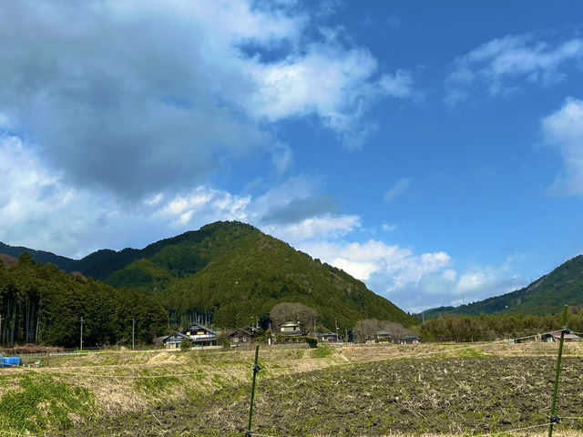 🌿京都・大原って、まるで自然の宝箱みたいな場所だった！🌸