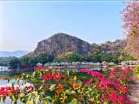 Seven Star Crags– Zhaoqing's Limestone Wonderland