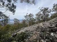 壯麗景色＋Zig Zag 探險 — 威靈頓山 Mount Wellington 一日遊體驗