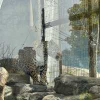 天王寺動物園（Tennoji Zoo） 