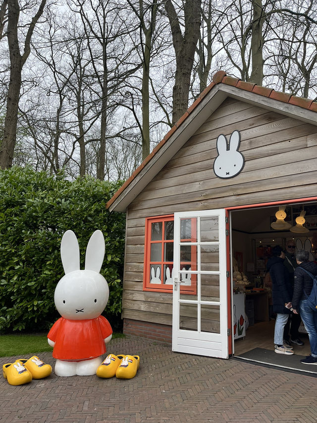 オランダの素敵なチューリップ畑