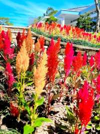 FLORAL PARADISE WORTH EXPLORING