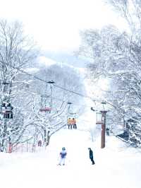 Tsugaike: Powder Playground in the Japanese Alps
