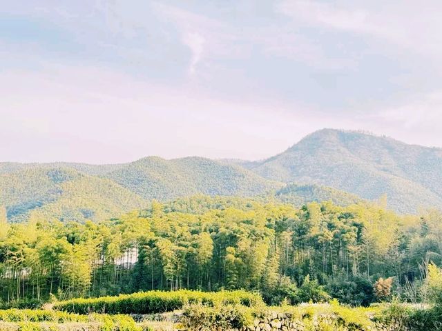 中國浙江湖州著名景點莫干山旅遊攻略，適合打卡拍照📸