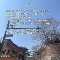 【韓国・ソウル】３泊4日で話題の場所を巡る✈️🇰🇷