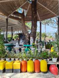 Afternoon Cafe 