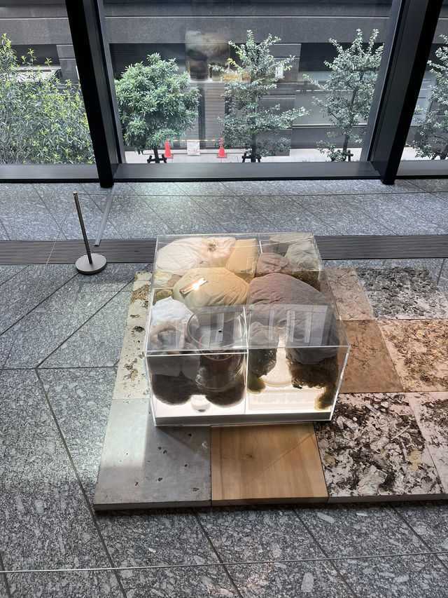 アートが街と響き合う──京橋「アーティゾン美術館」とTODA BUILDINGの新たな文化体験