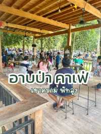 อาบป่าคาเฟ่