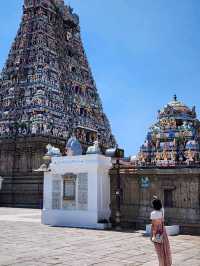 【チェンナイ/インド】一度は見ておきたい寺院🛕カバレーシュヴァラル寺院