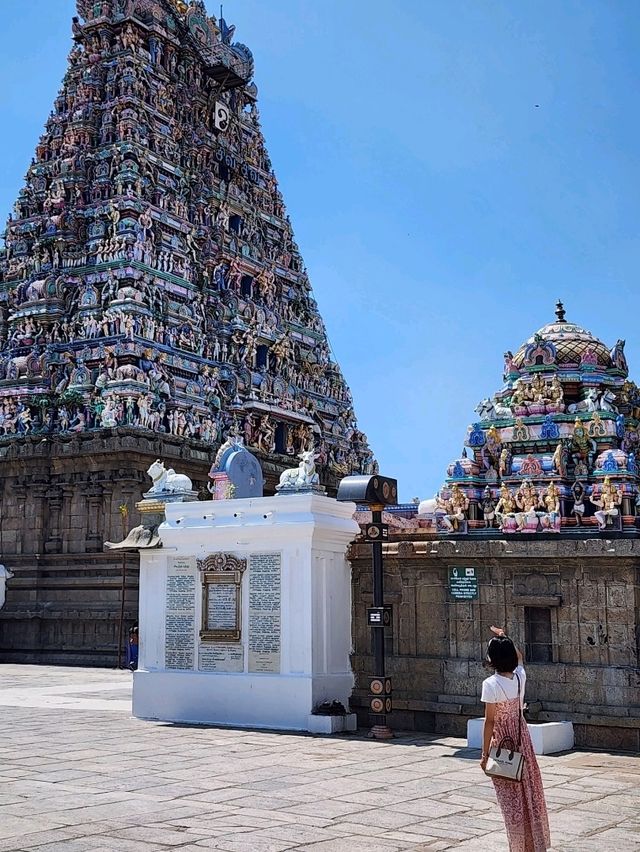 【チェンナイ/インド】一度は見ておきたい寺院🛕カバレーシュヴァラル寺院