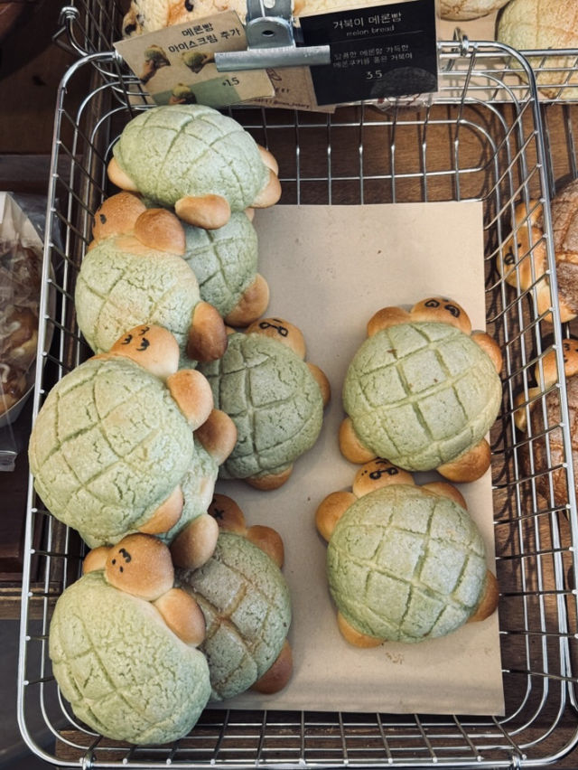 釜山｜田浦洞人氣爆棚麵包店 這顆烏龜太犯規 烏龜🐢太可愛