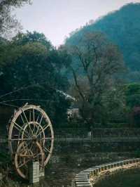 Stone Slab Street: A Stroll Through History