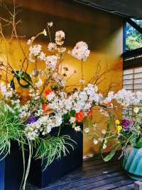 A Blossoming Experience at Gardens by the Bay